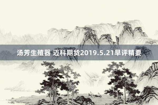 汤芳生殖器 迈科期货2019.5.21早评精要