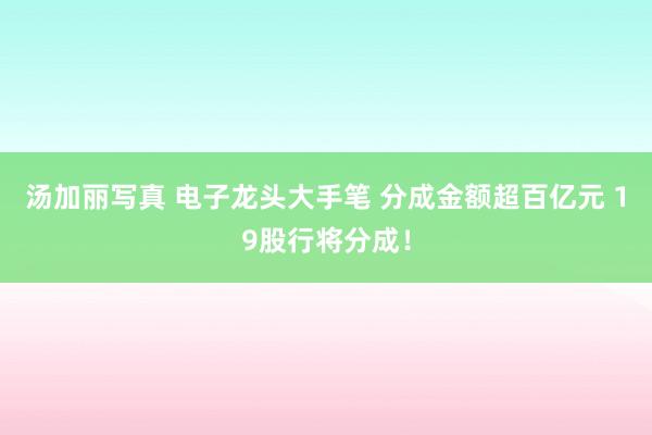 汤加丽写真 电子龙头大手笔 分成金额超百亿元 19股行将分成！