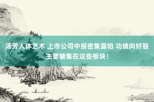 汤芳人体艺术 上市公司中报密集露馅 功绩向好股主要辘集在这些板块！