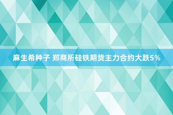 麻生希种子 郑商所硅铁期货主力合约大跌5%