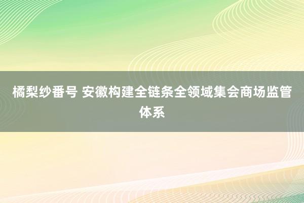 橘梨纱番号 安徽构建全链条全领域集会商场监管体系