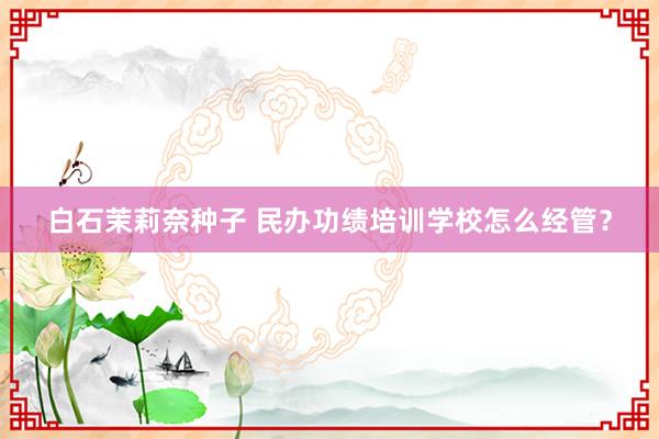 白石茉莉奈种子 民办功绩培训学校怎么经管？