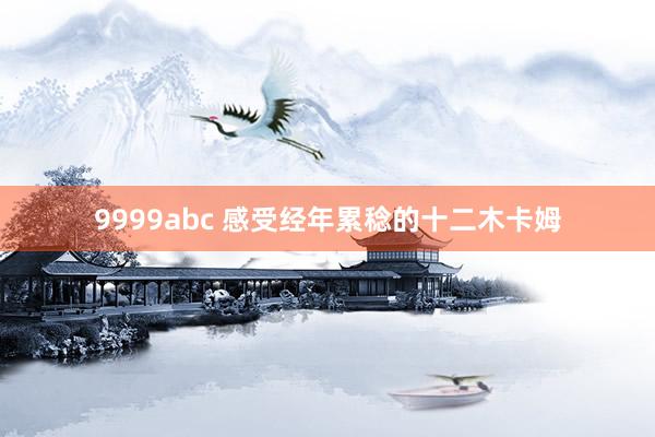 9999abc 感受经年累稔的十二木卡姆