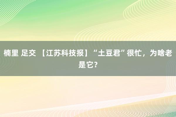 楠里 足交 【江苏科技报】“土豆君”很忙，为啥老是它？