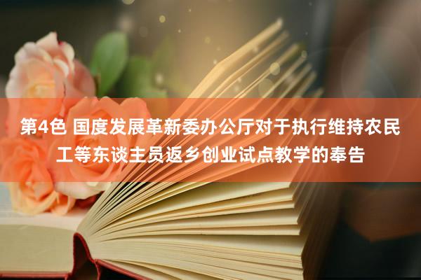 第4色 国度发展革新委办公厅对于执行维持农民工等东谈主员返乡创业试点教学的奉告