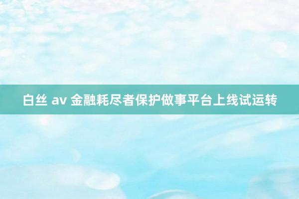 白丝 av 金融耗尽者保护做事平台上线试运转