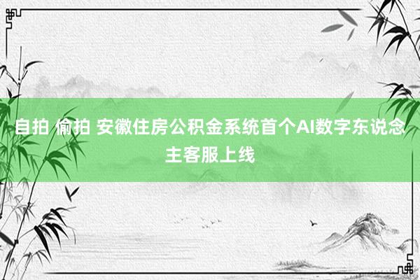 自拍 偷拍 安徽住房公积金系统首个AI数字东说念主客服上线